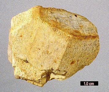 Microcline Image