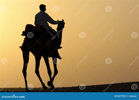 Camel rider silhouette stock image. Image of desert, rider - 6677521