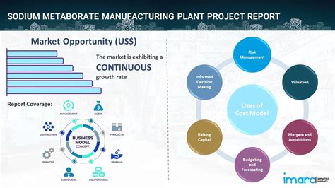 Sodium Metaborate Manufacturing Plant Project Report 2024