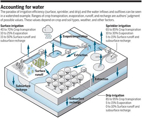 The paradox of irrigation efficiency | Science