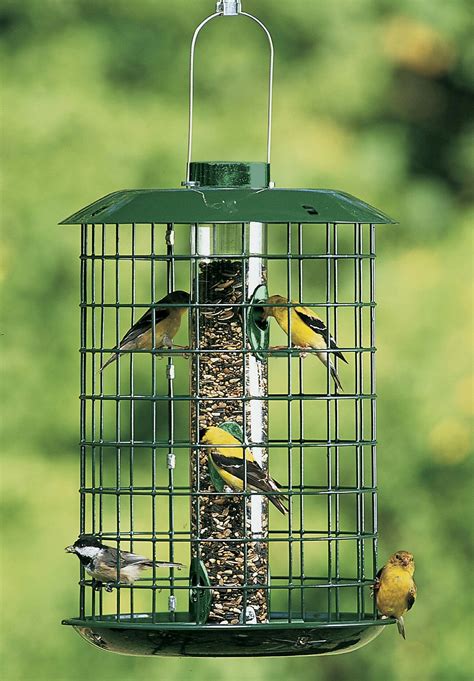 Large bird and squirrel-proof tiny songbird feeder. | Squirrel proof ...