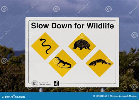 Sign Warns To SLOW DOWN for WILDLIFE in Australia Stock Photo - Image ...