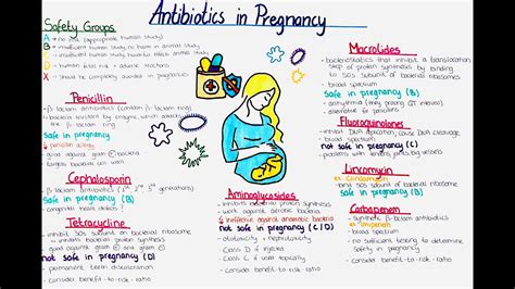 Antibiotics in Pregnancy - Classes, Safety + Drug Categories - YouTube