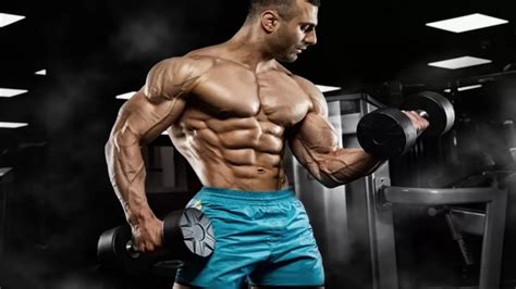 Tren Cycle Guide2023: Trenbolone Steroid Cycle Results & Dosage for Bulking & Cutting