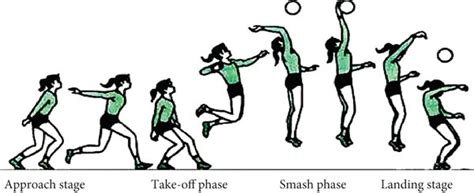 A series of action diagrams of volleyball spiking. | Download Scientific Diagram