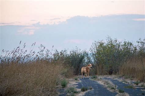 Mare Island Heritage Preserve: Hike and Camp at the East Bay's Lost ...