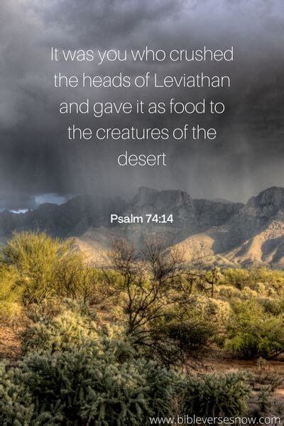 What is Leviathan in the Bible? Meaning and 10 Bible Reverences – Bible Verses of the day