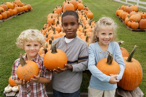 15 Unforgettable Things to Do for Autumn-Fall Around Gatlinburg ...