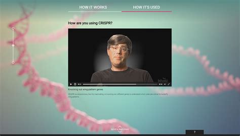 CRISPR-Cas9 Website | Interactive Application | Medical Animation ...