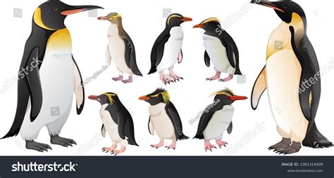 5,461 Penguin Breeding Images, Stock Photos, 3D objects, & Vectors ...