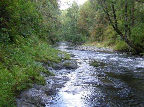 Oregon Fishing Club - Salmon River