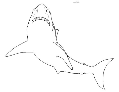 shark mask Colouring Pages