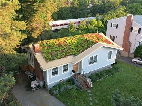 IMG_0026 (1).JPG | Green roof, Green roof residential, Green roof technology