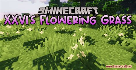 XXVI's Flowering Grass Resource Pack (1.19.2, 1.19) - Texture Pack - Mc-Mod.Net