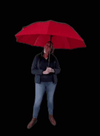 Rainy Day Umbrella GIF by De Graafschap Dierenartsen - Find & Share on GIPHY