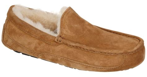 Ugg Mens Slippers Ascot Sale | Division of Global Affairs