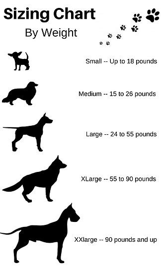 Dog Size Chart-How To Measure For A Dog Bed