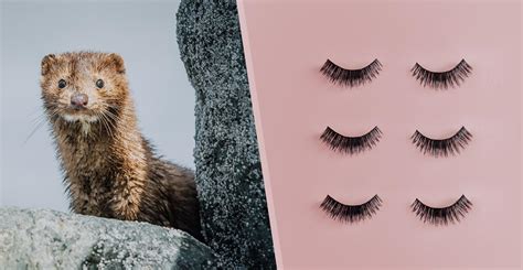 Sephora Bans Mink Fur Eyelashes, Will Only Sell Animal-Free Lashes