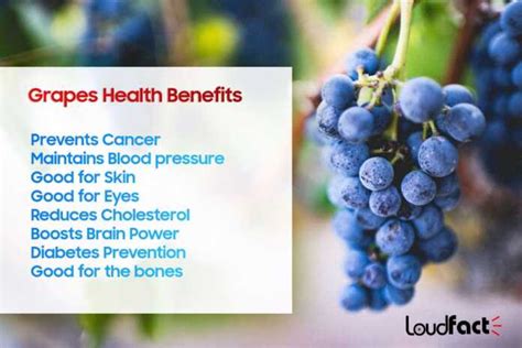 Grapes Health Benefits And Why You Should Eat It From Today?