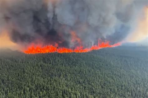 What started Canada’s wildfires and are they under control? | Environment News | Al Jazeera