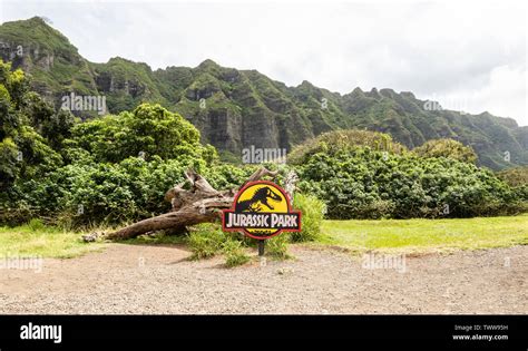 La souche d'arbre et lieu de tournage de la célèbre scène de gallimimus ...