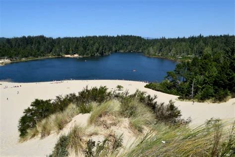 19 Incredible Things to do in Florence Oregon: Sand dunes, beach + more!