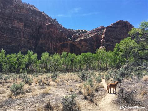 Backpacking the Escalante River Trail – Girl on a Hike