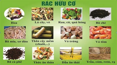 Khái niệm, cách phân loại rác thải vô cơ và rác thải hữu cơ