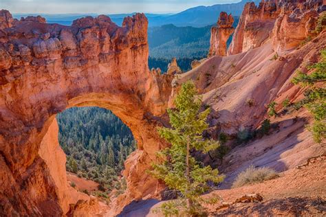 Bryce-Canyon-Nationalpark - Tolle Felspyramiden in Utah