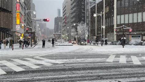 Beautiful TOKYO Snow 2022 : Free Download, Borrow, and Streaming : Internet Archive