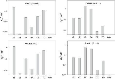 Affinity constants of various cytokinin bases for AHK3 and ZmHK1... | Download Scientific Diagram