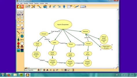 5th Grade Ecosystem Concept Map - Map