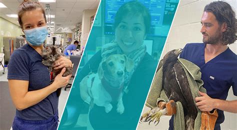 3 SGU Grads Excelling in Competitive Veterinary Specialties - Veterinary Blog