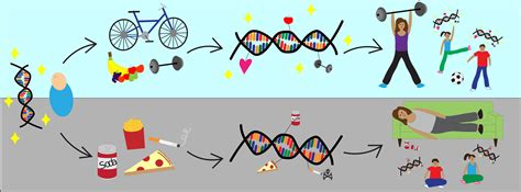 November 1 - What Genes Cannot Tell: The role of epigenetics in ...