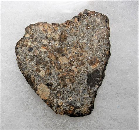 Meteorite - Chondrite - 5.83 Gram - NWA 869 - Slice