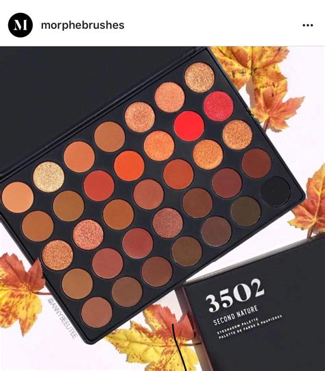 Morphe 3502 eyeshadow palette reviews in Eye Shadow - ChickAdvisor