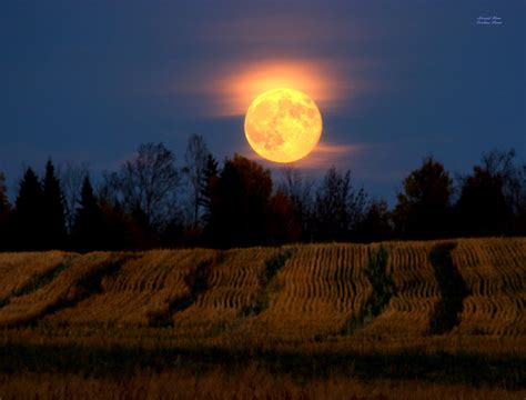 Harvest Moon HD Wallpaper - Live Wallpaper HD