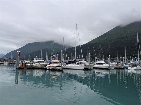 Day Forty Six: a Cruise Around Resurrection Bay – Travel with Me!