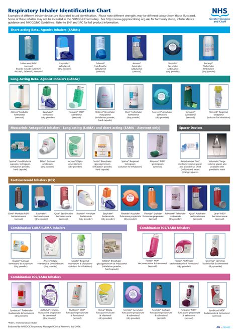 Respiratory Inhaler Identification Chart Examples Of Different Inhaler ...