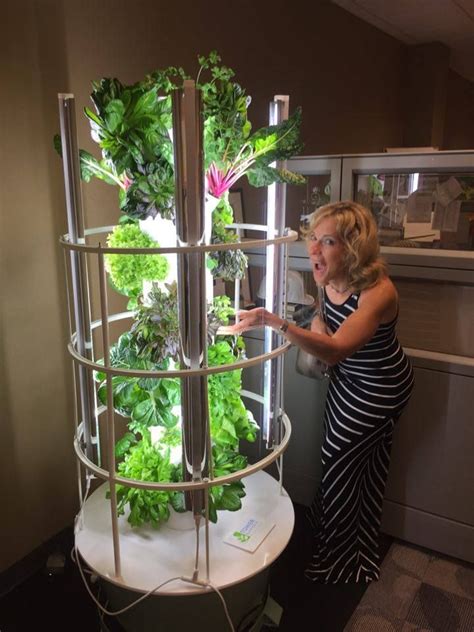 www.vanniekerk.towergarden.com Grow 365 - 24/7 indoor or out with the power of vertical ...