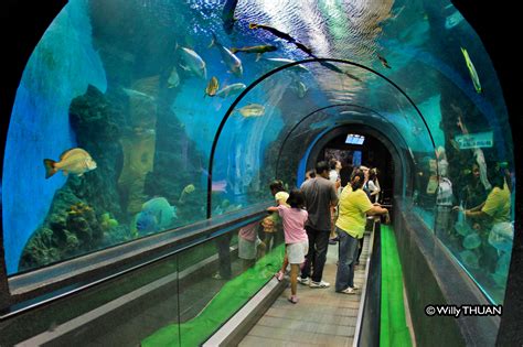 Things To Do In Phuket Thailand: Phuket Aquarium Thailand