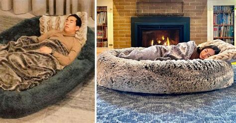 Giant Dog Bed for Humans - The Ultimate Napping Spot