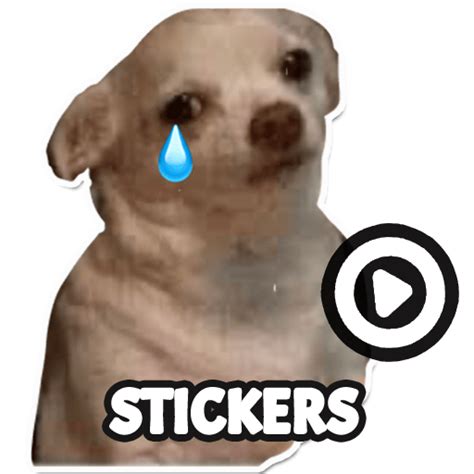 Dog meme sticker WAStickerApps - Apps on Google Play