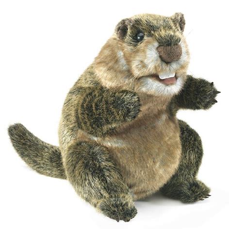 NEW PLUSH SOFT TOY Folkmanis 3169 Groundhog Hand Puppet | eBay