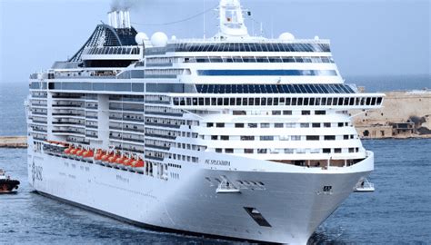 Different Types of Cruise Ships Explained | LaptrinhX / News