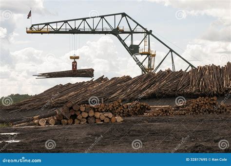 Lumber Mill And Stacked Boards Royalty-Free Stock Photography | CartoonDealer.com #22001273