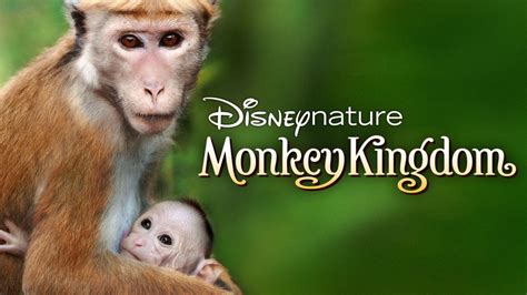 Watch Disneynature Monkey Kingdom | Full Movie | Disney+