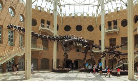 Fernbank Museum reopening next week with new health and safety protocols in place ...