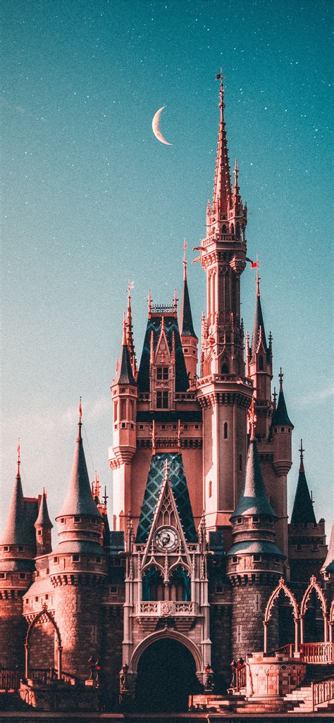 blue and beige Disneyland castle iPhone X Wallpapers Free Download