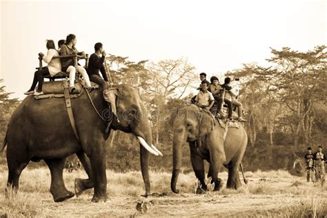 Wildlife Safari, Elephant Ride Editorial Photography - Image of ride, nepal: 103988302